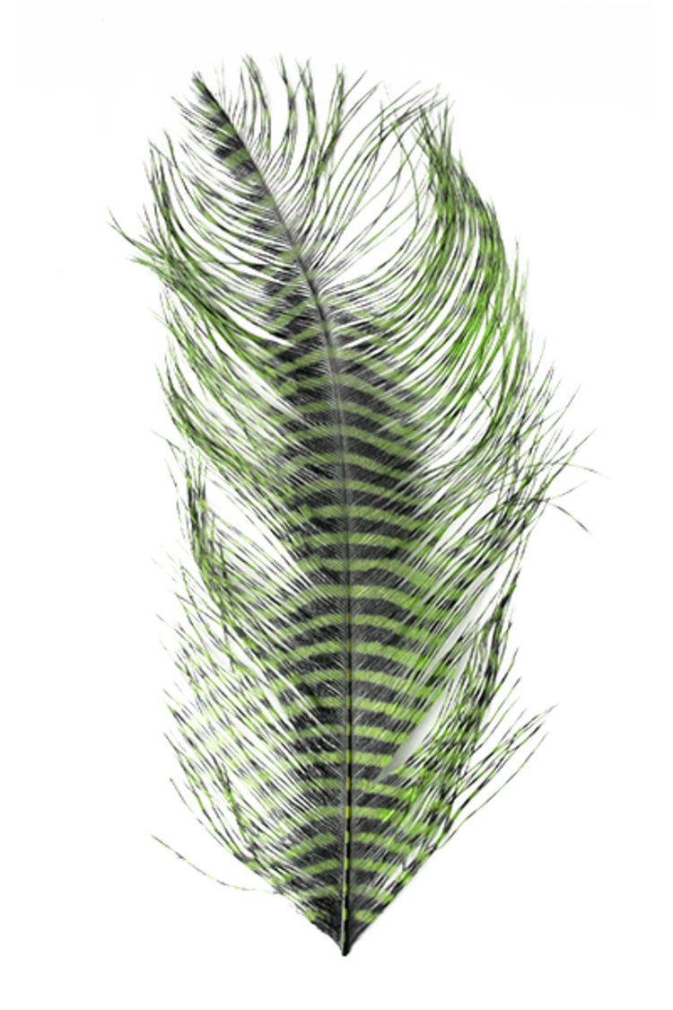 Montana Fly Co Barred Ostrich Plumes