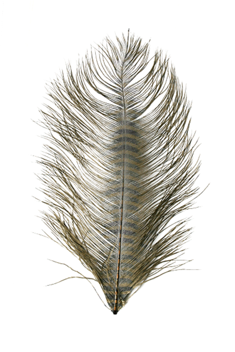 Montana Fly Co Barred Ostrich Plumes