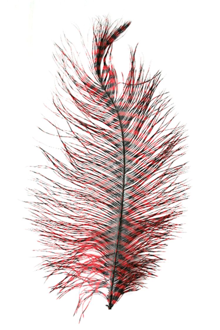 Montana Fly Co Barred Ostrich Plumes