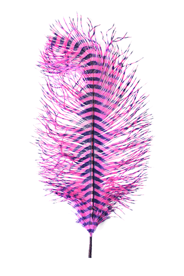 Montana Fly Co Barred Ostrich Plumes