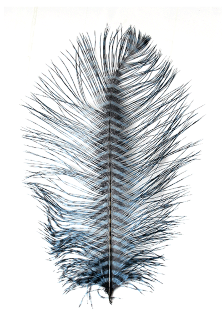 Montana Fly Co Barred Ostrich Plumes
