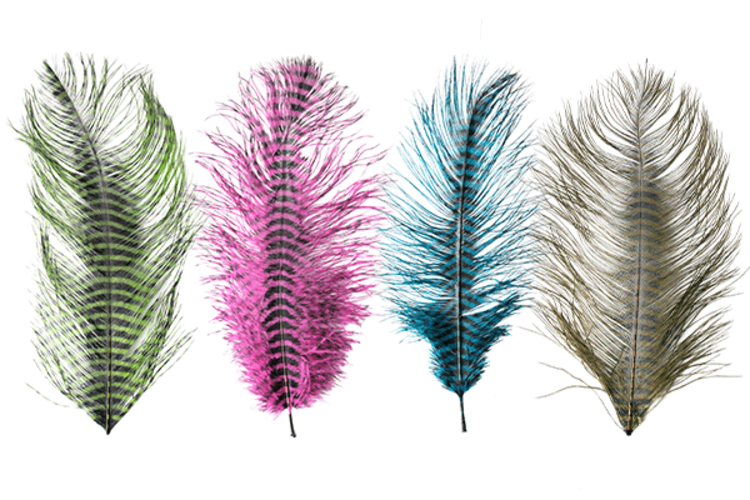 Montana Fly Co Barred Ostrich Plumes