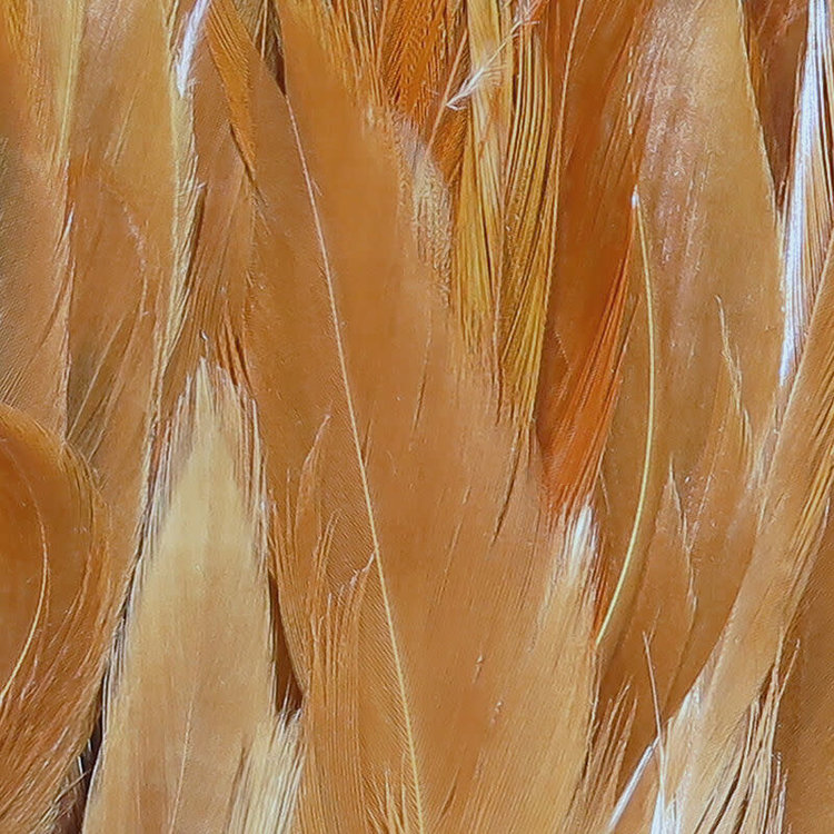 Hareline Woolly Bugger Strung Saddle Hackle