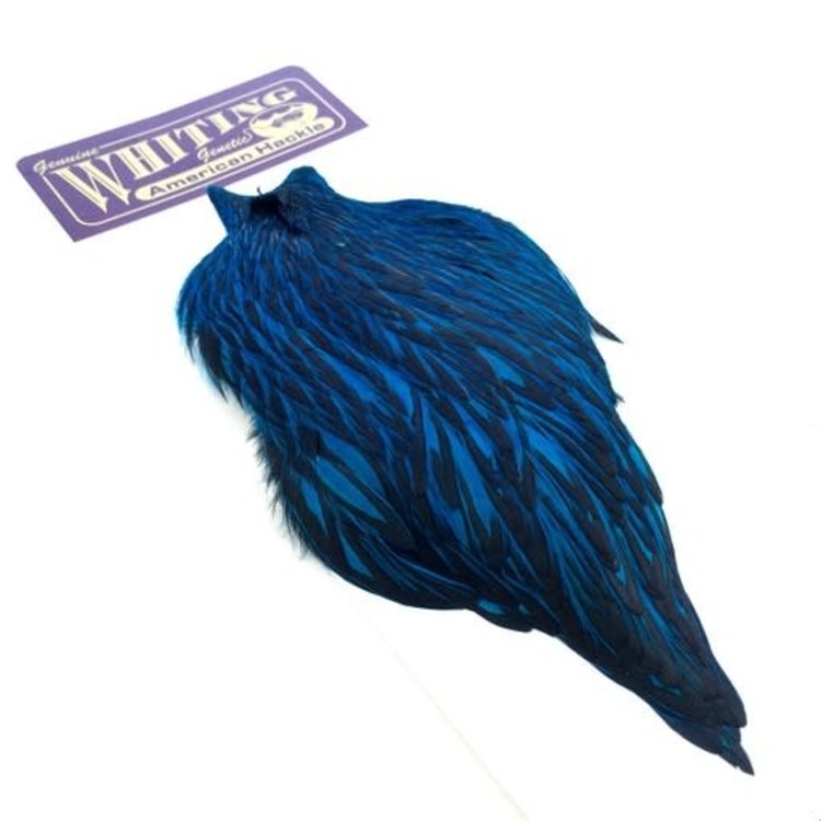 Whiting Farms Whiting American Rooster Cape