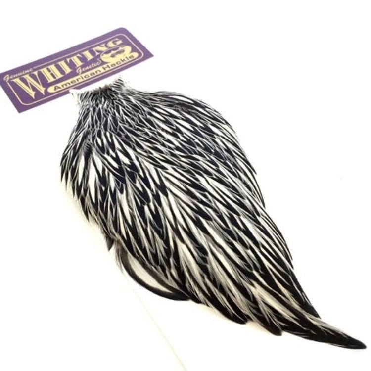 Whiting Farms Whiting American Rooster Cape