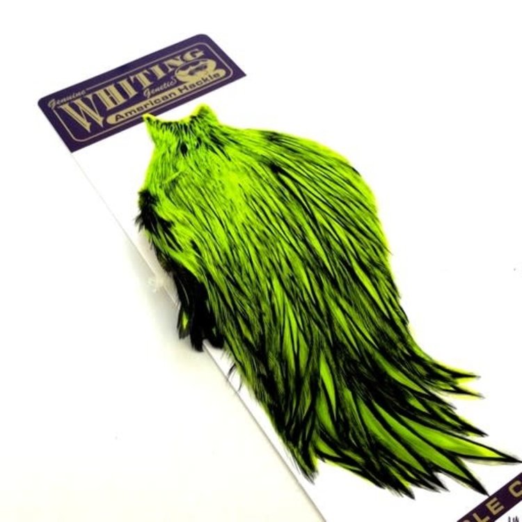 Whiting Farms Whiting American Rooster Cape