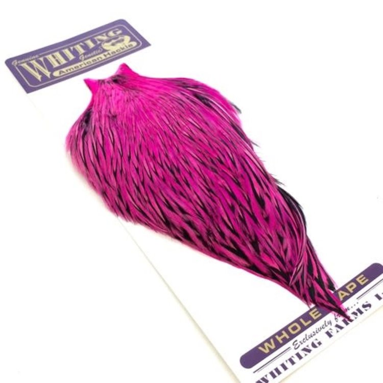 Whiting Farms Whiting American Rooster Cape