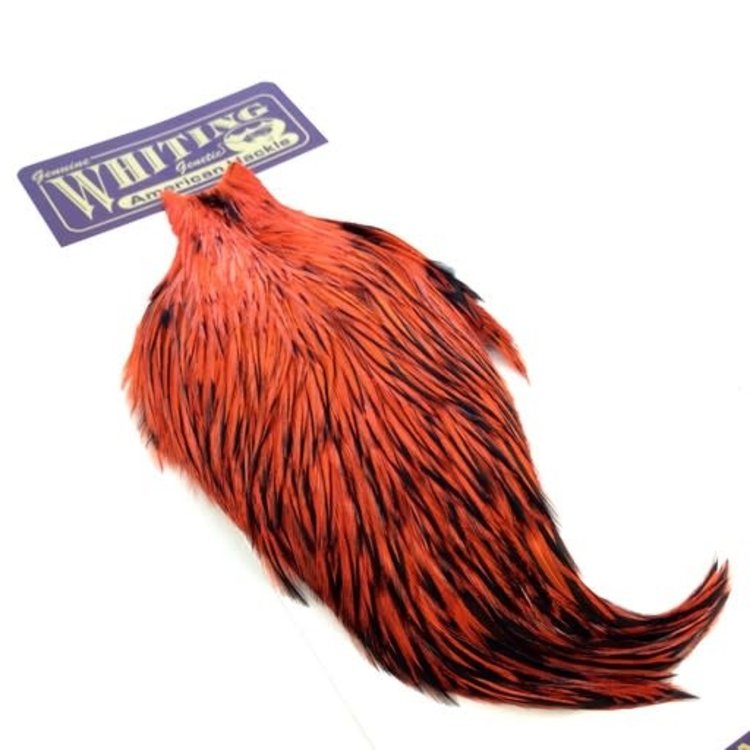 Whiting Farms Whiting American Rooster Cape