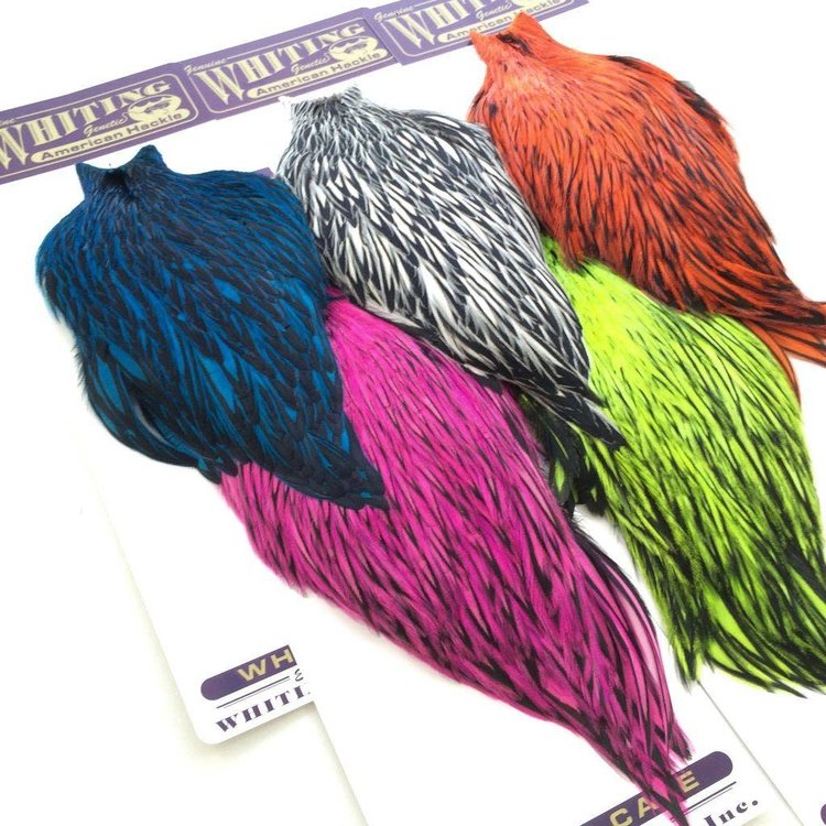 Whiting Farms Whiting American Rooster Cape