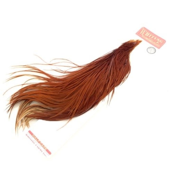 Whiting Farms Whiting Rooster Dry Fly 1/2 Bronze Cape