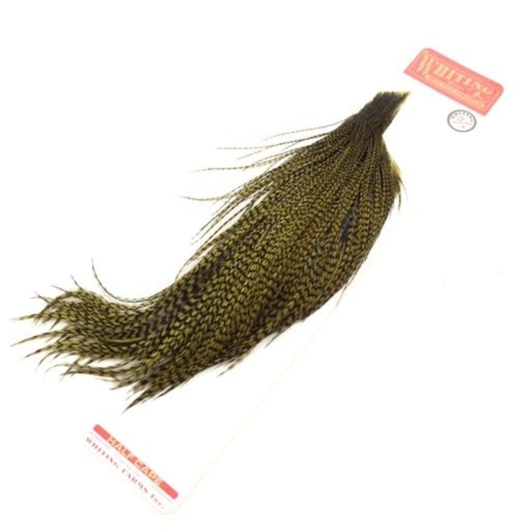 Whiting Farms Whiting Rooster Dry Fly 1/2 Bronze Cape