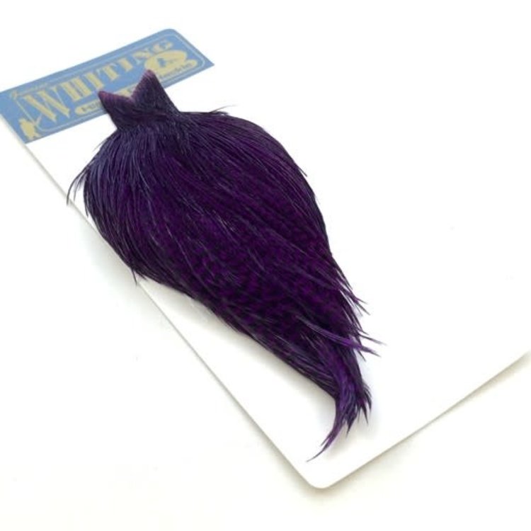 Whiting Farms Whiting High & Dry Hackle Full Cape
