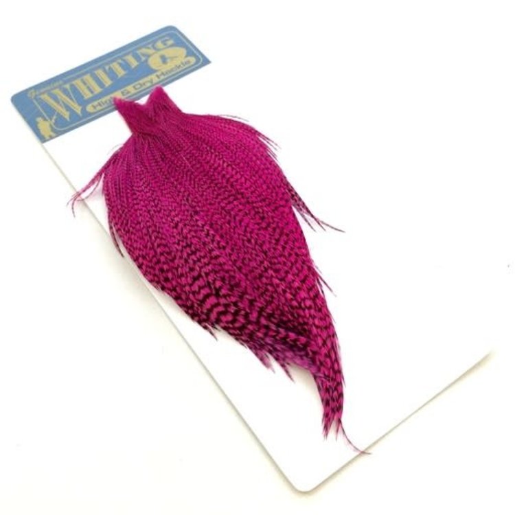 Whiting Farms Whiting High & Dry Hackle Full Cape