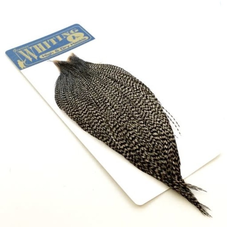 Whiting Farms Whiting High & Dry Hackle Full Cape