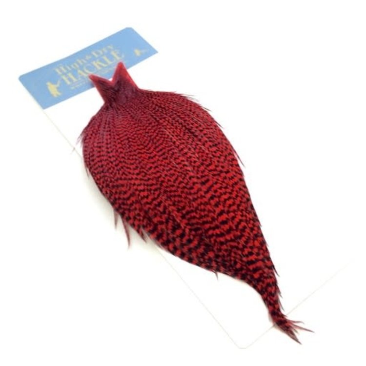 Whiting Farms Whiting High & Dry Hackle Full Cape