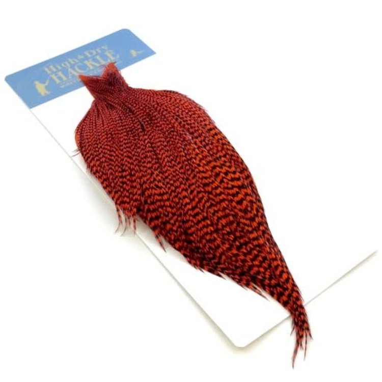 Whiting Farms Whiting High & Dry Hackle Full Cape