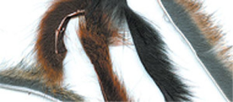 Wapsi Pine Squirrel Zonker