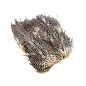 Grizzly Soft Hackle Marabou Patch