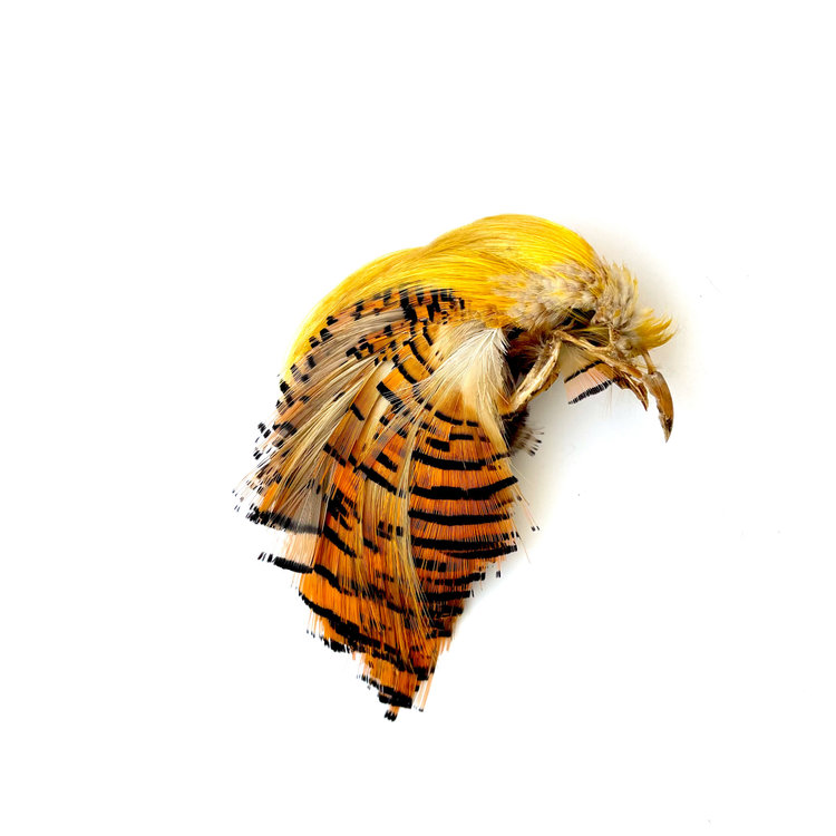 Nature's Spirit Golden Pheasant Head Natural