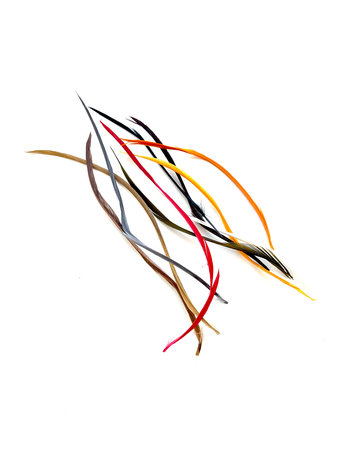 Hareline Stripped Goose Biots