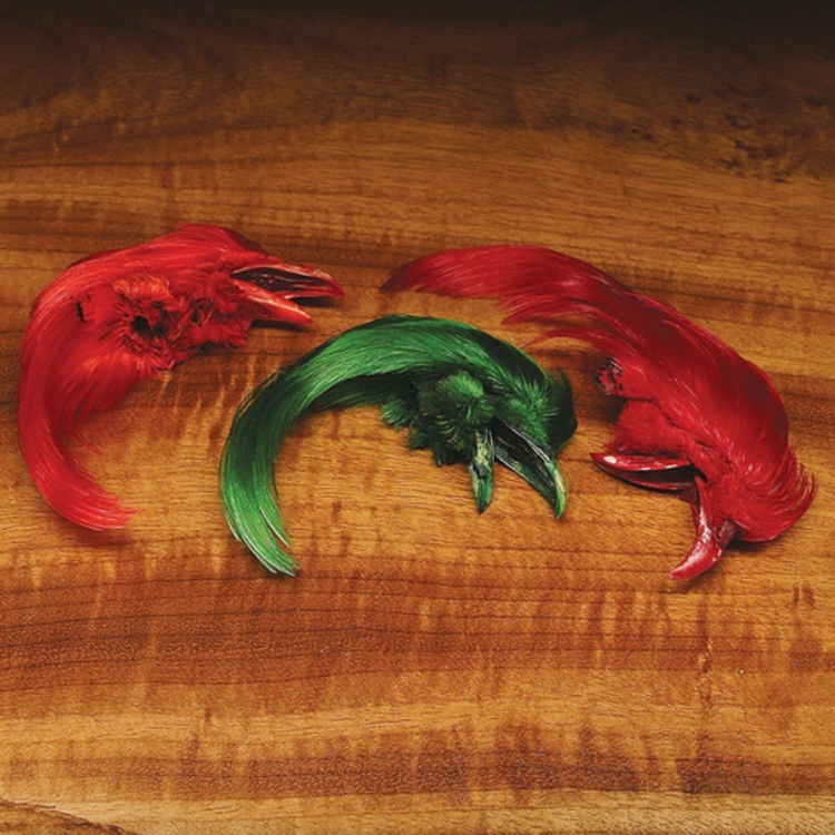 Wapsi Dyed Golden Pheasant Crest