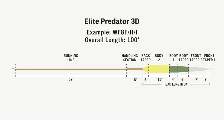 Rio RIO Elite Predator  Sink Tip Fly Line