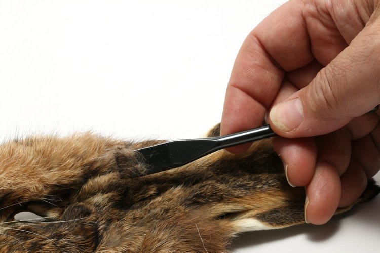 Hareline Ceramic Hareline Dubbing Rake