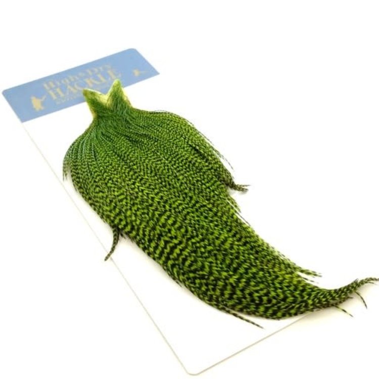 Whiting Farms Whiting High & Dry Hackle Full Cape