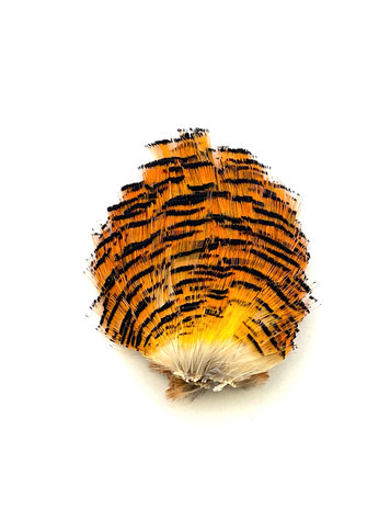 Nature's Spirit Golden Pheasant Tippets Section