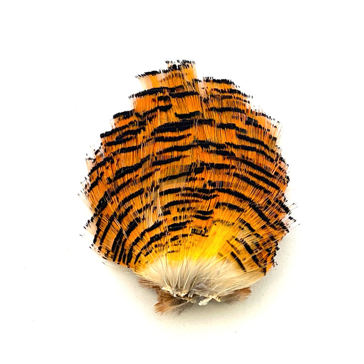 Nature's Spirit Golden Pheasant Tippets Section