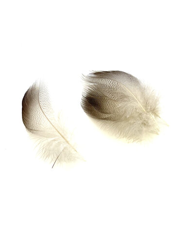 Wapsi Bronze Mallard Feathers
