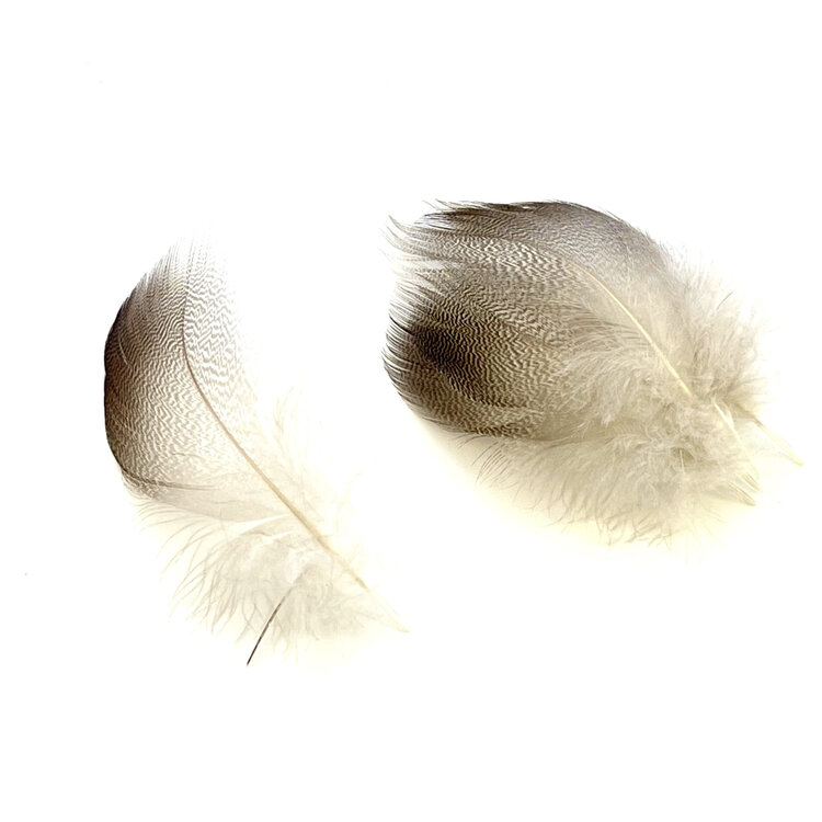 Wapsi Bronze Mallard Feathers