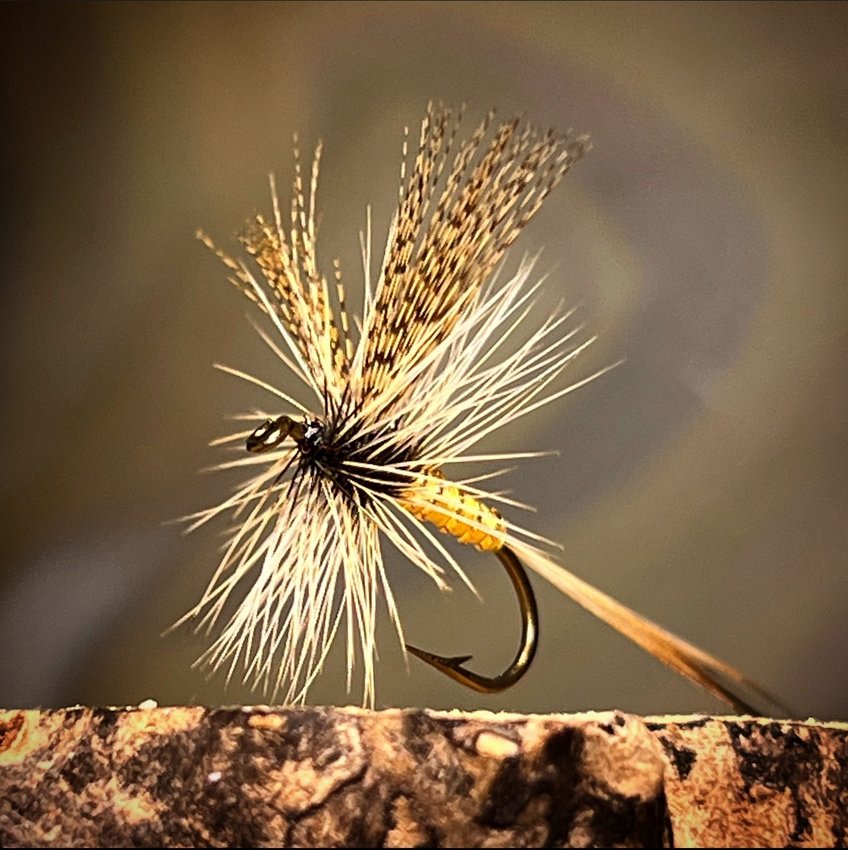 Dry Flies - Royal Treatment Fly Fishing