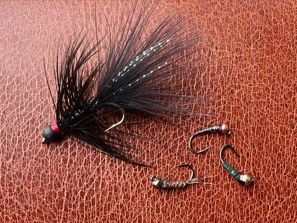 Euro Nymph Flies - Royal Treatment Fly Fishing