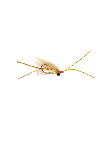 Fulling Mill Christmas Island Special Shrimp