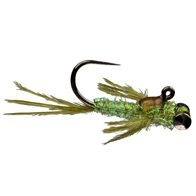 Rio Morrish's Level Headed Damsel Olive Sz 12