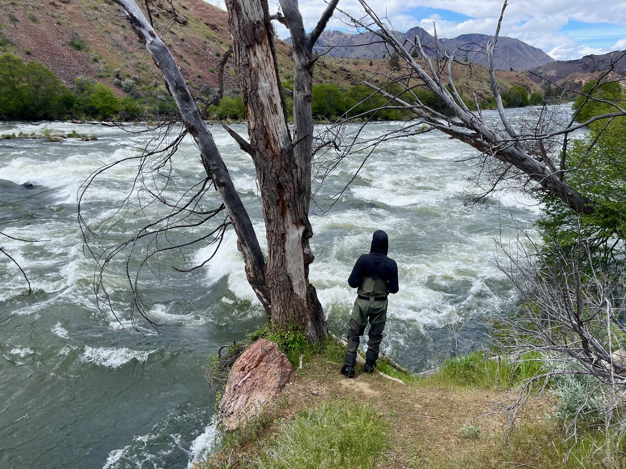 Latest Fly Fishing News and Reports - Deschutes River Update - Royal  Treatment Fly Fishing