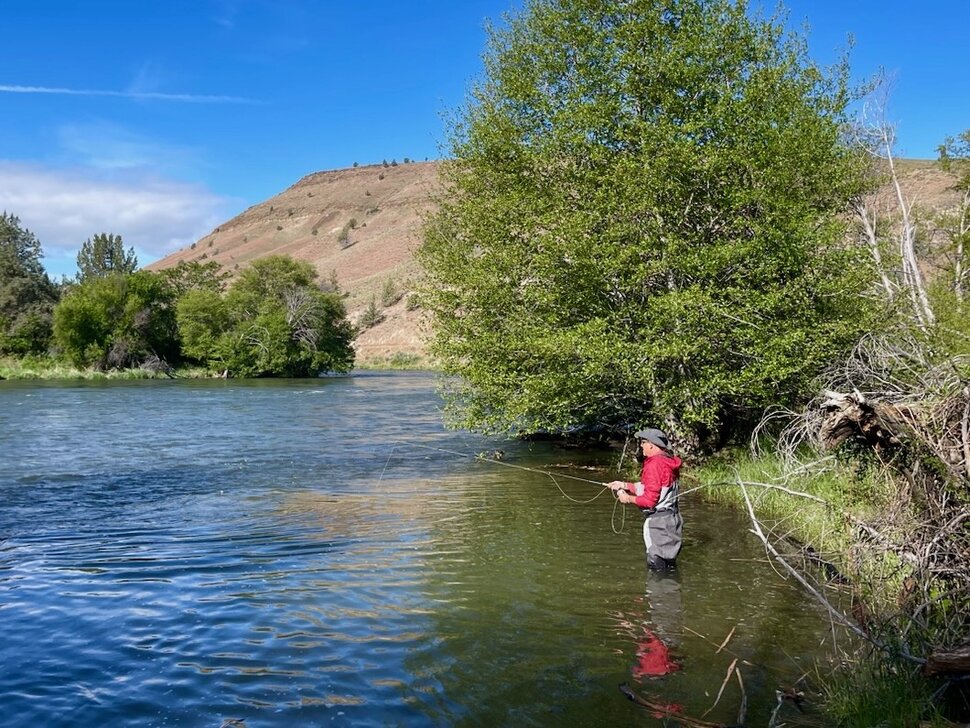 Latest Fly Fishing News and Reports - An Up and Down Salmonfly Hatch -  Royal Treatment Fly Fishing