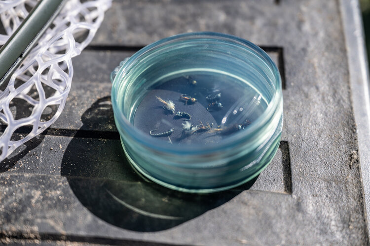 Fishpond Fishpond Shallow MagPad Fly Puck