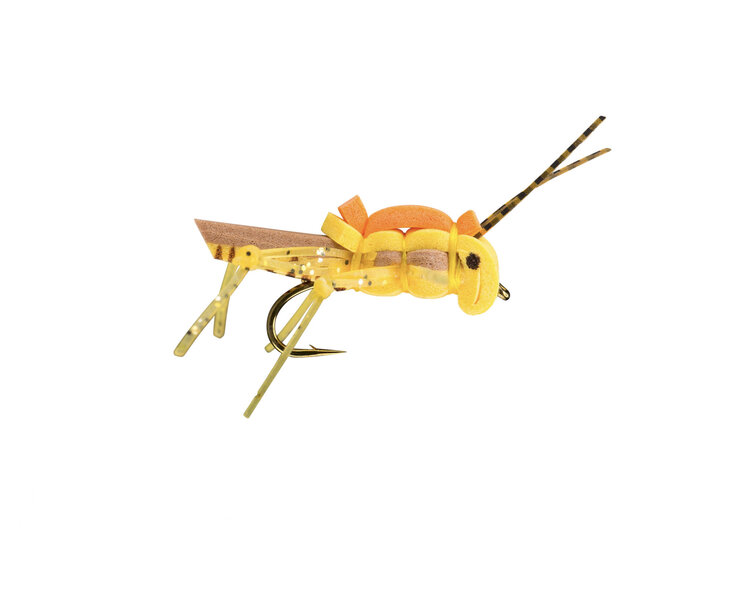 Rio Rio's Juicy Hopper