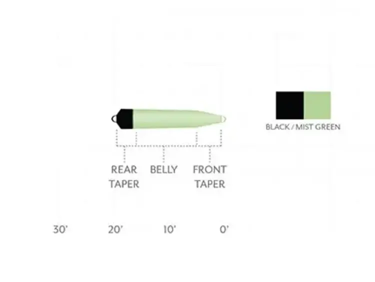 Scientific Angler Scientific Angler Skagit Short Head