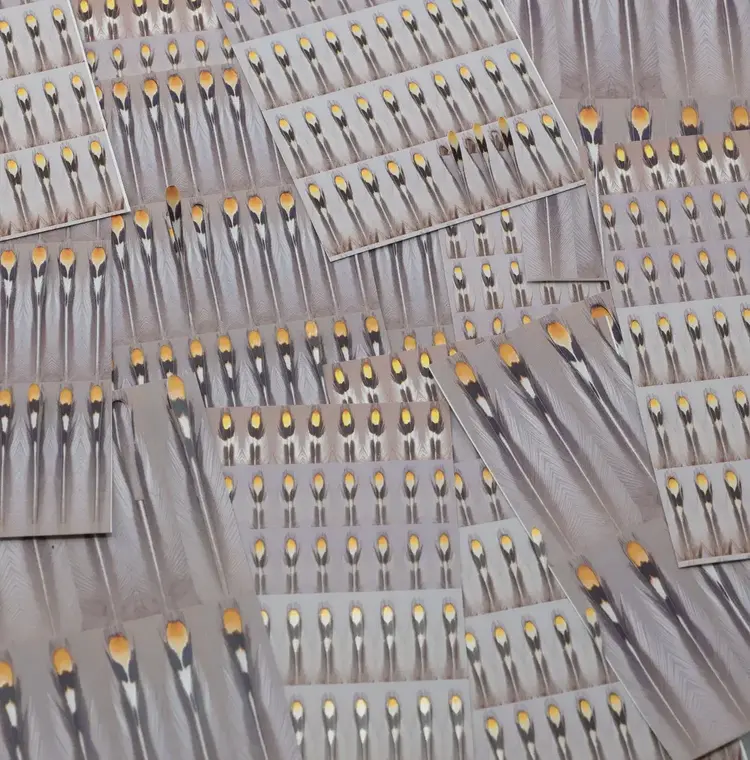 Aqua Flies Aqua Flies Un-Real Jungle Cock Eyes