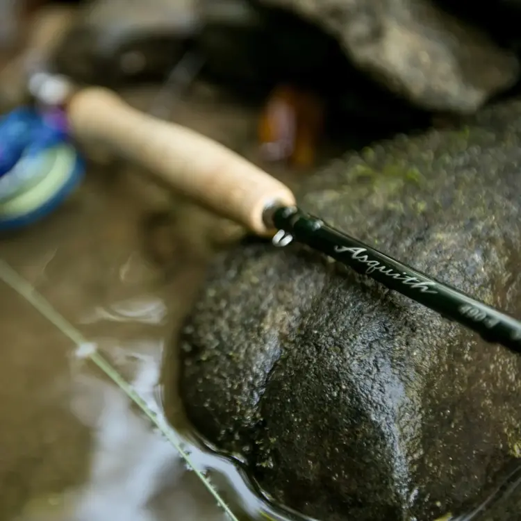 G. Loomis G. Loomis Asquith