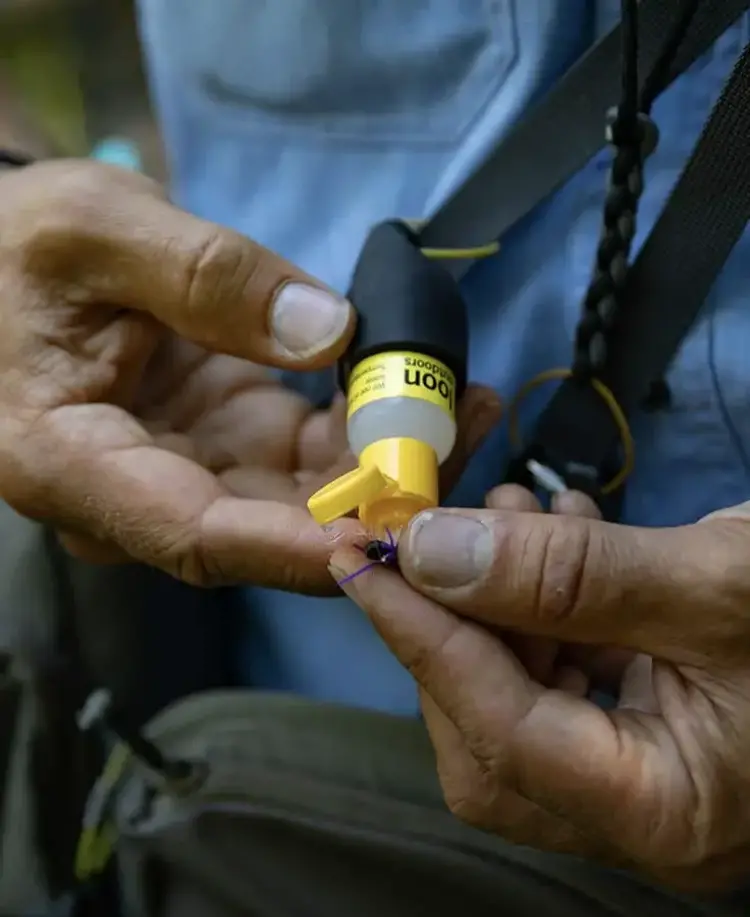 Loon Outdoor Loon Silicone Small Caddy