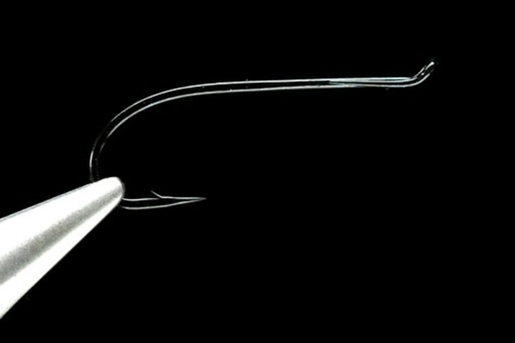 Daiichi Daiichi 2421