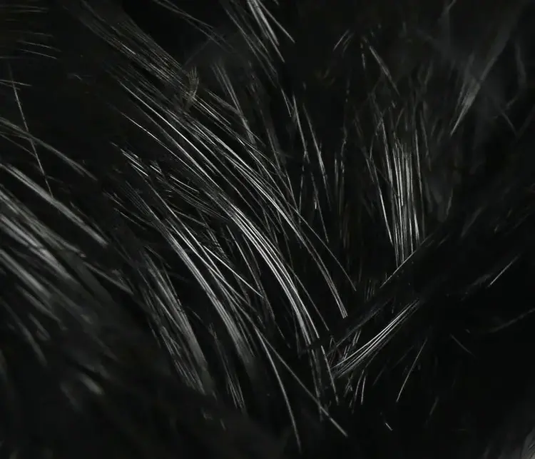 Hareline Golden Pheasant Body Feathers