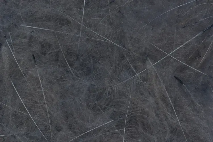 Fulling Mill Fulling Mill CDC