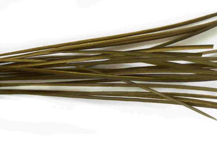 Fulling Mill Fulling Mill Stripped Peacock Quills