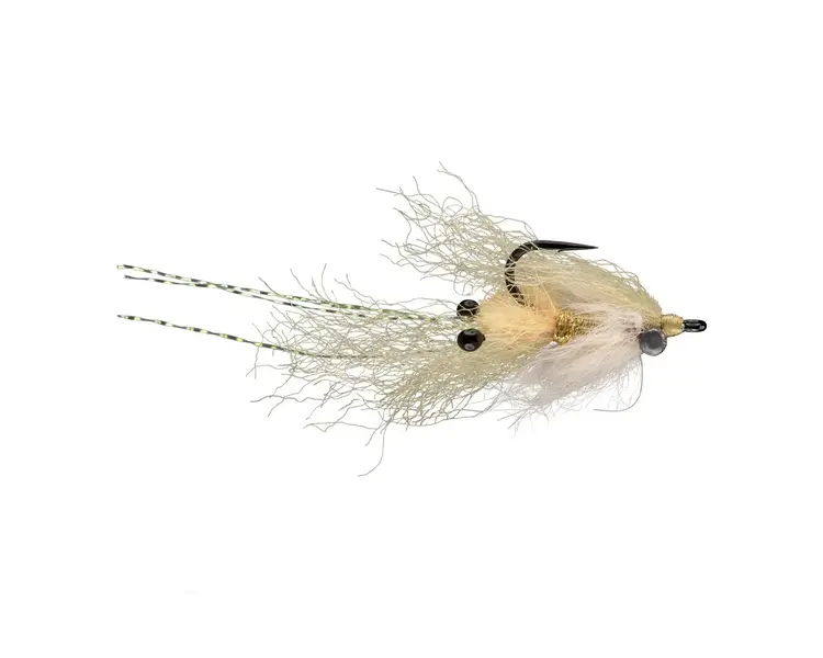 Rio RIO's Christmas Mantis