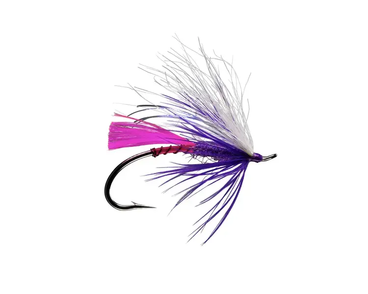 Rio Silvey's Sno Cone